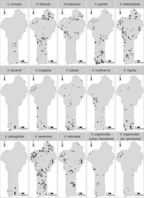 Climate Change Reveals Contractions and Expansions in the Distribution of Suitable Habitats for the Neglected Crop Wild Relatives of the Genus Vigna (Savi) in Benin